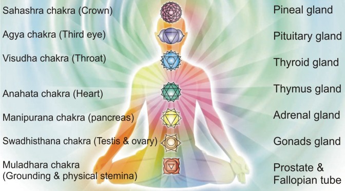 The Chakras-The Seven Centers of Consciousness