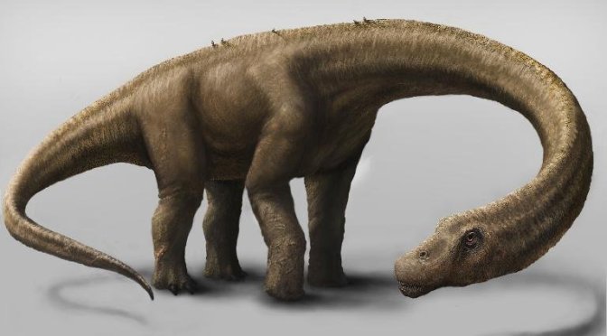 Supermassive Dinosaur Fossils Found In Argentina