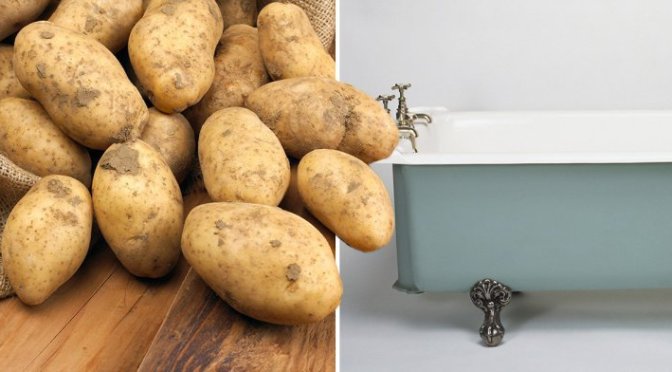 Man caught filling hotel bathtub up with potatoes while wearing a bra and high on MDMA